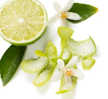 Load image into Gallery viewer, Zents - Bespoke Oolong Lotion