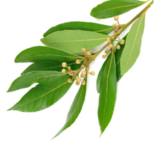 Load image into Gallery viewer, Zents - Bespoke Ore Body Oil