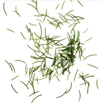 Load image into Gallery viewer, Zents - Bespoke Earth Body Oil