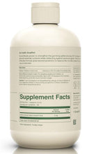 Load image into Gallery viewer, Ion Gut Support