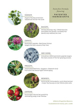 Load image into Gallery viewer, Feed Your Head Hair Growth Serum