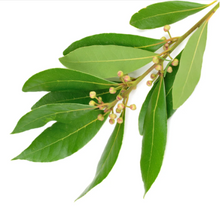 Load image into Gallery viewer, Zents - Bespoke Ore Lotion