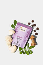 Load image into Gallery viewer, Mushroom Revival - Lion's Mane Focus Gummies