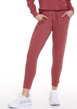 Load image into Gallery viewer, Tasc Varsity Jogger - Earth Red
