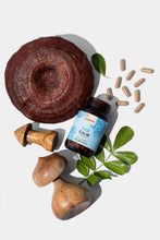 Load image into Gallery viewer, Mushroom Revival - Reishi Calm Capsules
