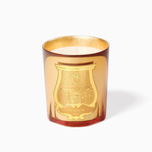 Load image into Gallery viewer, Trudon - Galerie de Flammes (Woody Smoky)
