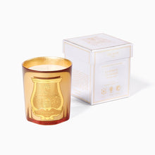 Load image into Gallery viewer, Trudon - Galerie de Flammes (Woody Smoky)
