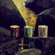 Load image into Gallery viewer, Cire Trudon - Terre a Terre (Vetiver &amp; Cashmere Wood)
