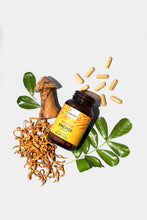 Load image into Gallery viewer, Mushroom Revival - Cordyceps Energy Capsules

