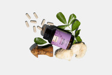 Load image into Gallery viewer, Mushroom Revival - Lion&#39;s Mane Focus Capsules
