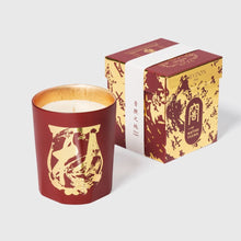 Load image into Gallery viewer, Cire Trudon - Terre a Terre (Vetiver &amp; Cashmere Wood)
