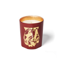 Load image into Gallery viewer, Cire Trudon - Terre a Terre (Vetiver &amp; Cashmere Wood)
