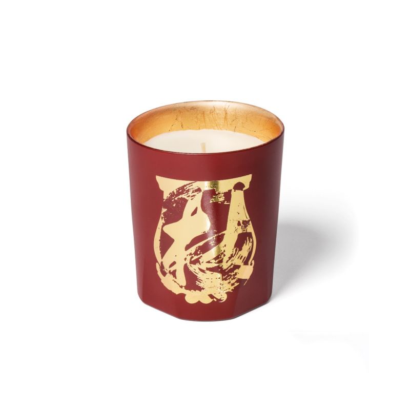 Cire Trudon - Terre a Terre (Vetiver & Cashmere Wood)