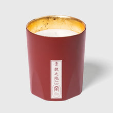 Load image into Gallery viewer, Cire Trudon - Terre a Terre (Vetiver &amp; Cashmere Wood)
